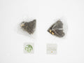 Jasmine Green Tea Bags